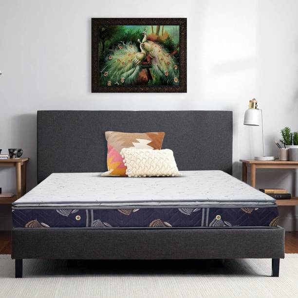 Kwaality Springra-Plush & Bouncy Pillow Top 6 inch Double Bonnell Spring Mattress