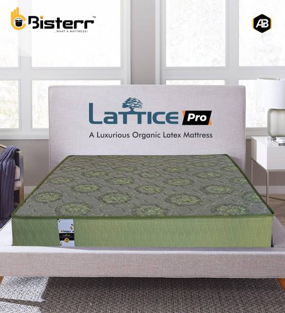 Bisterr Mattress Lattice-Pro 6 inch Queen Natural Latex Mattress