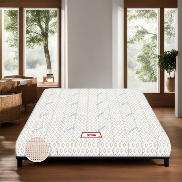 COIRFIT BIOLIFE LATEX 7 Zone Layers with Talalay Tech. 4 inch Queen Latex Foam Mattress