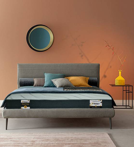 Bisterr Mem-O-Luxe Temp-Responsive 6 inch Single High Resilience (HR) Foam Mattress