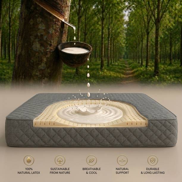 Flipkart Perfect Homes Natural Latex Orthopedic Reversible Sleepy Bliss Back Pain Relief Spine support 4 inch Double High Resilience (HR) Foam Mattress
