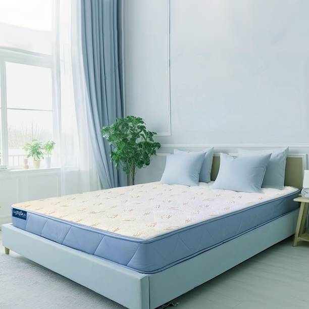LUXOLA SILKY SOFT Double Size 5 inch Double High Resilience (HR) Foam Mattress