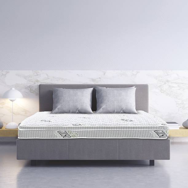 Gilson Plus Europedic Ortho Spring With Latex 8 inch Single Latex Foam Mattress