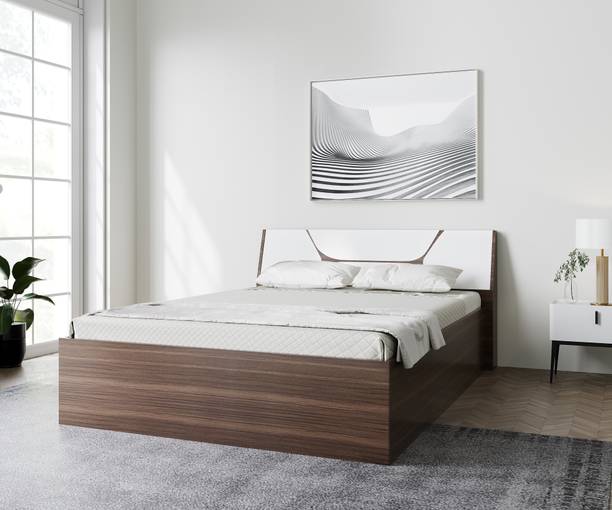 estre Dhalia Engineered Wood Queen Box Bed
