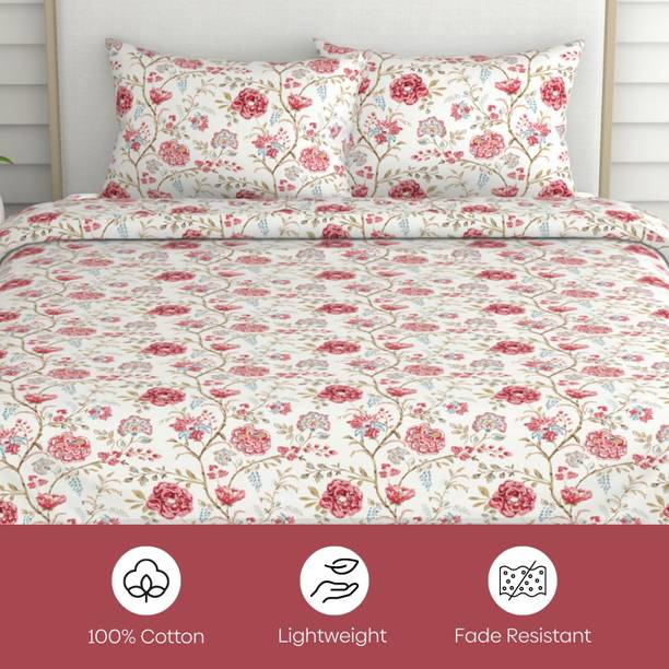 haus & kinder Cotton King Flat 186 TC Printed 1 Summer Bedsheet with 2 Pillow Covers
