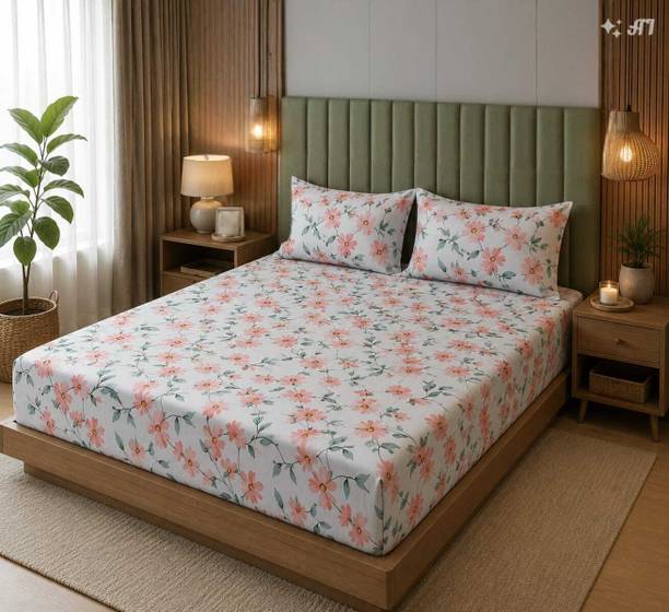 EXFAB Cotton King Fitted (Elastic) 244 TC Printed 1 Summer Bedsheet with 2 Pillow Covers