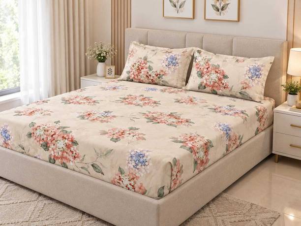 EXFAB Cotton King Fitted (Elastic) 244 TC Printed 1 Summer Bedsheet with 2 Pillow Covers