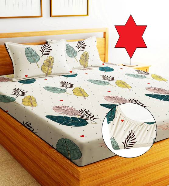 EXFAB Cotton Double Fitted (Elastic) 244 TC Printed Bedsheet
