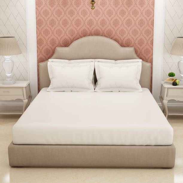 SPACES Cotton King Flat 600 TC Solid Bedsheet