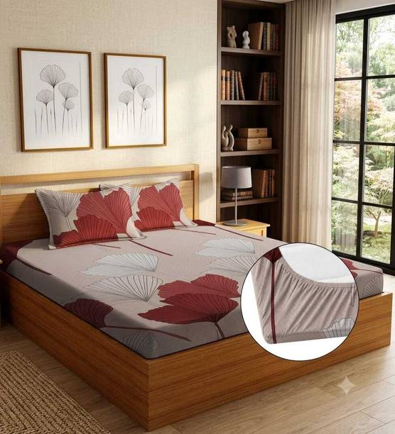 Cotton Double Fitted (Elastic) 244 TC Printed 1 Summer Bedsheet with 2 Pillow Covers