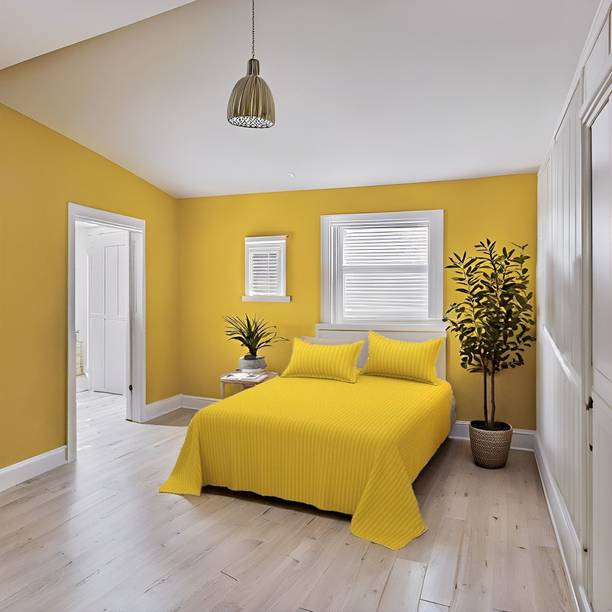 RADHERADHE Cotton Queen Flat 240 TC Striped Bedsheet