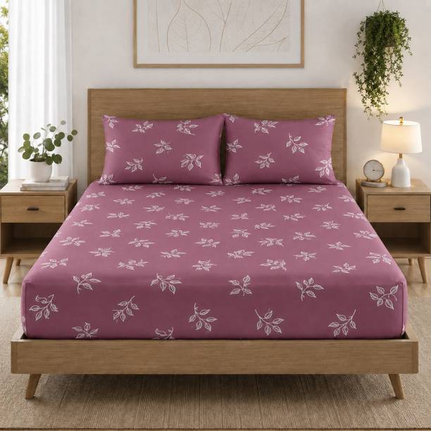 Amrange Cotton King Fitted (Elastic) 170 TC Floral 1 Bedsheet with 2 Pillow Covers