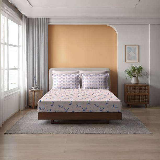 Raymond Home Cotton Queen Fitted (Elastic) 104 TC Geometric 1 Bedsheet with 2 Pillow Covers