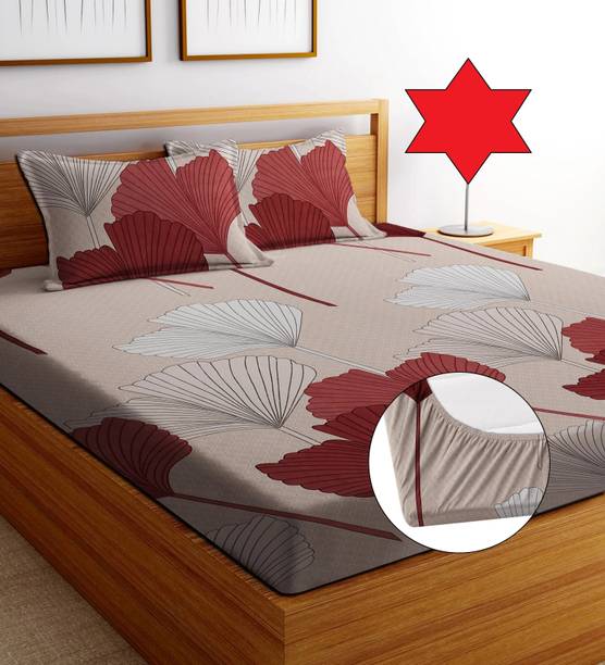 EXFAB Cotton Double Fitted (Elastic) 244 TC Printed Bed...