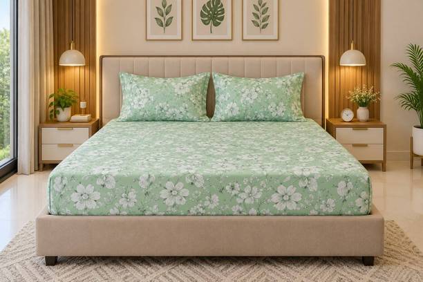 EXFAB Cotton King Fitted (Elastic) 244 TC Printed 1 Summer Bedsheet with 2 Pillow Covers