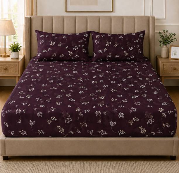 Amrange Cotton King Fitted (Elastic) 120 TC Floral 1 Bedsheet with 2 Pillow Covers