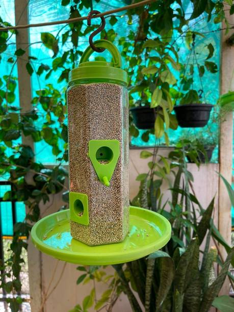 chullbull pet products Medium Bird Feeder With Holding Handle Pack of 1 Window Bird Feeder Bird Feeder