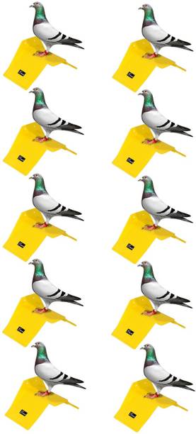 seok Pigeon Stand (Pack of 10) Premium Quality Caged Bird Feeder