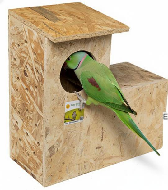 Amijivdaya Parrot Home Bird House