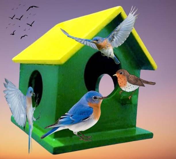 ClayWalaz Window Bird Feeder Bird Feeder