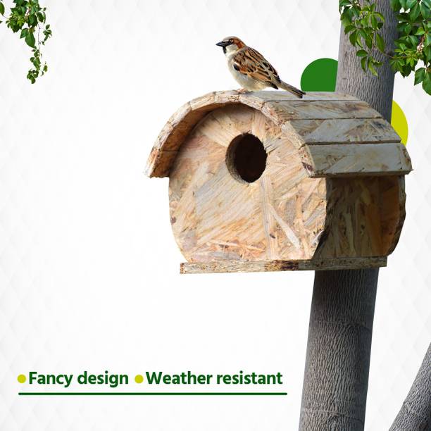 Amijivdaya Fancy Sparrow Bird Home Bird House