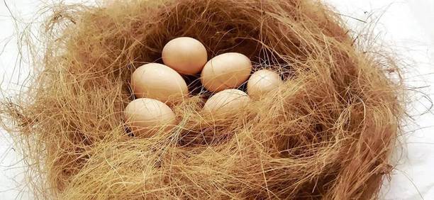 JUGNOO Nesting Material for Birds for Making Nest, Manually Extracted Natural CoirFiber Bird House