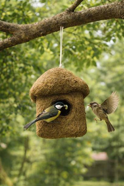 ANTHUVACRAFTS 01 Bird House