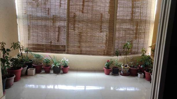 TCLPVC Roller Blind Hand Drawn On Ceiling