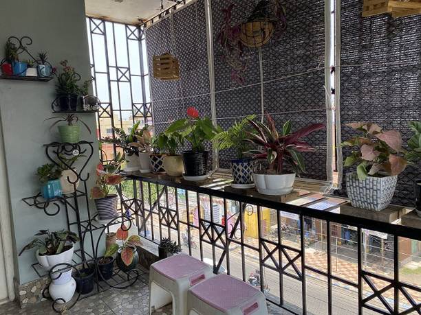 TCLPVC Roller Blind Hand Drawn On Ceiling