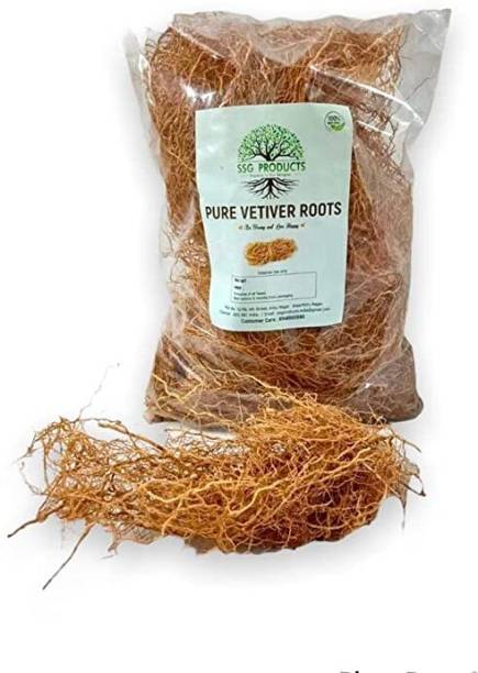 SSG PRODUCTS Organic Vetiver Roots/Vettiver Root/Vetiveria Zizanioides - 100 Grams