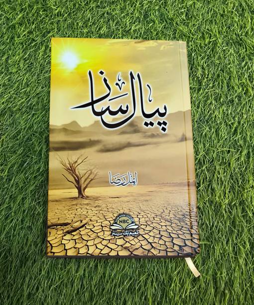 Peyal Saaz by Aymal Raza | Urdu novel blending mystery, emotional fiction, and poetic storytelling.