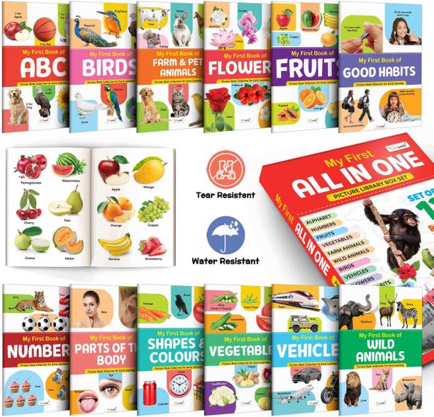 Lkg Class Picture Book Box Set (Red Edition) : Books For Children, All In One essential Book, Gift Set For Kids My First All in One Picture Library Box Of 12 Books