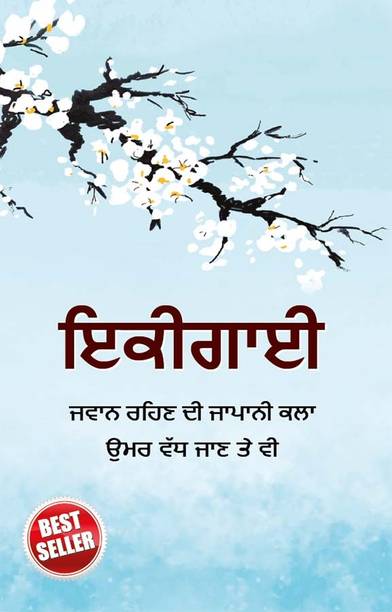 Ikigai in Punjabi