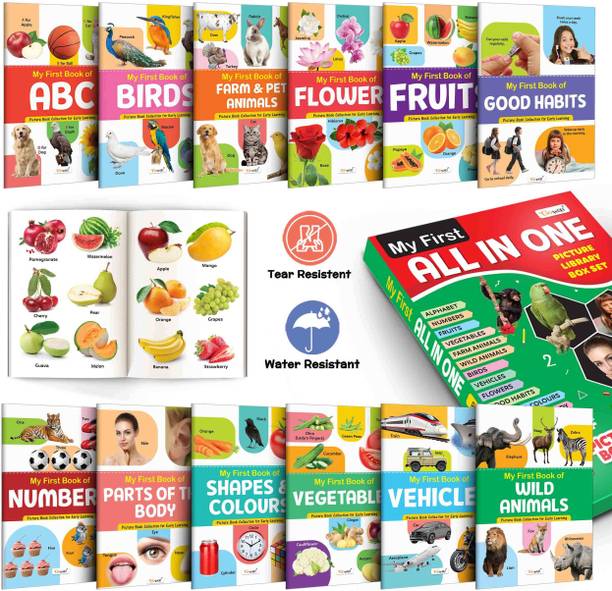 Lkg Class Picture Book Box Set (Green Edition) : Books For Children, All In One essential Book, Gift Set For Kids My First All in One Picture Library Box Of 12 Books