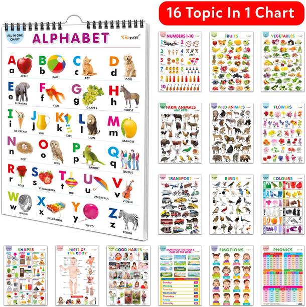 My First ALL IN ONE SPIRAL CHART : Learning Chart book for kids, Educational Chart for toddlers, Collection With 16 Topics, birthday gifts for Kids