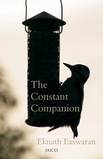 The Constant Companion