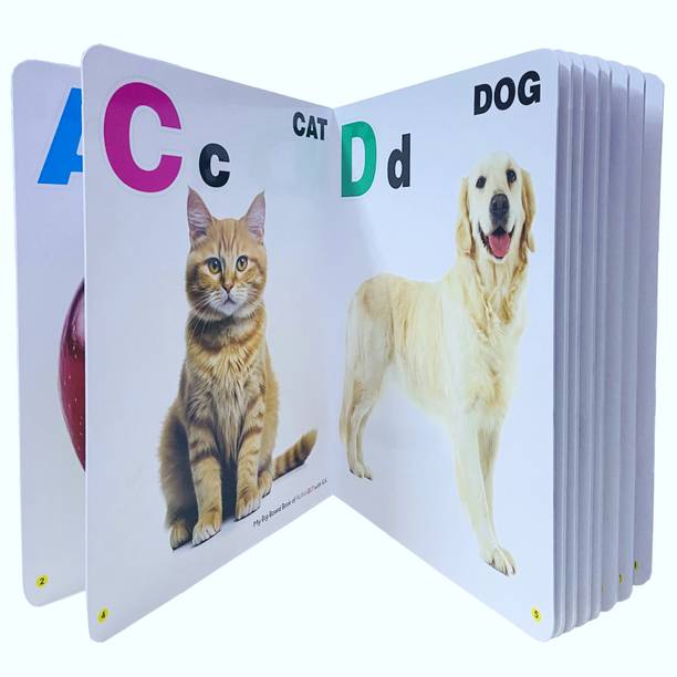 AP SINHA Learning Board Book for Kids Book Of Alphabet Book ABCD Single Picture(32 Pages)