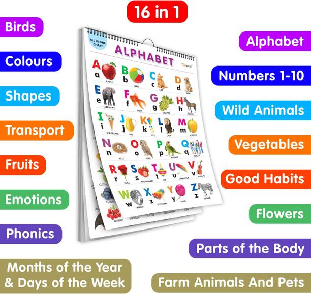 My First ALL IN ONE SPIRAL CHART : With 16 Topics ( Big Fonts and Realistic Pictures) | Gift Set For Kids