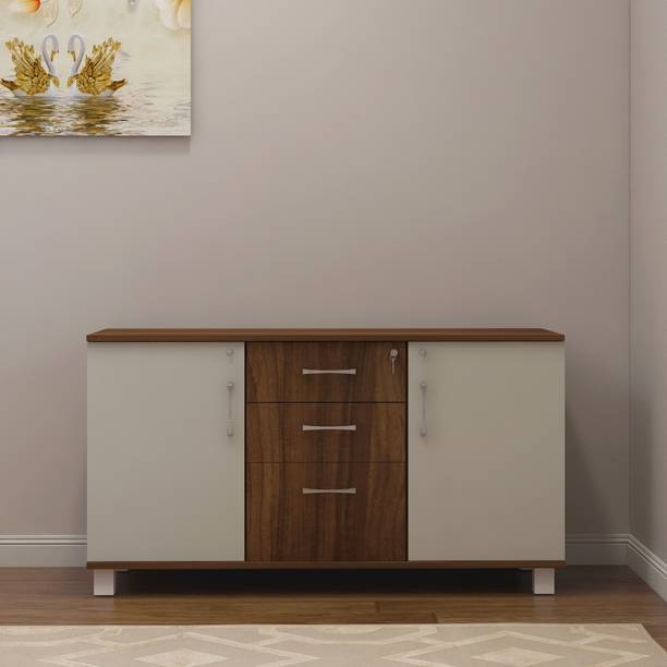 WOODYOU Engineered Wood Free Standing Cabinet