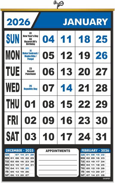 ESCAPER Orange Theme Wall Calendar Hanging for Home & Office Use (43 L x 28 W cm) 2026 Wall Calendar