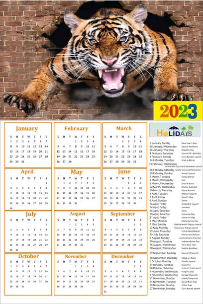 HD RAPID DESIGN Wall Calendar, Hanging Calendar (24 x 36 inch) for office, home_029 2023 Wall Calendar