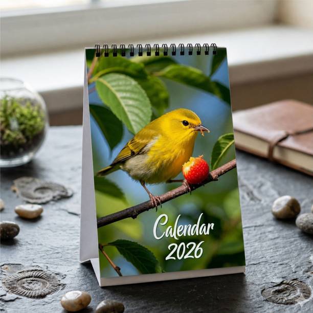 momymgic Desk Calendar For Home And Office Use, Study Planner And Daily Tracking 2026 Table Calendar