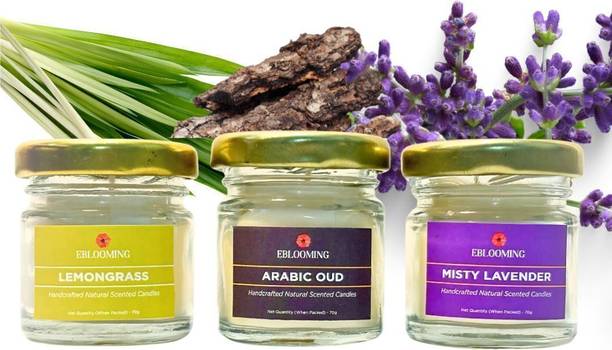 EBLOOMING Scented Candles Set For Home in Small Glass Jars I Lemongrass, Lavender & Oud Candle