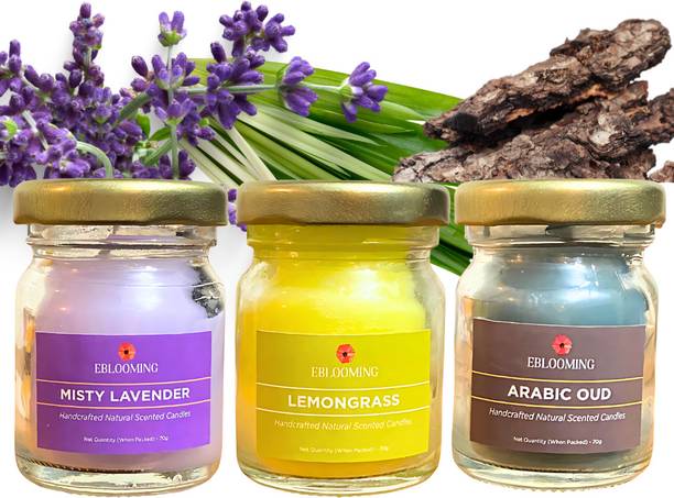 EBLOOMING Scented Candles Set For Home in Small Glass Jars I Lemongrass, Lavender & Oud Candle