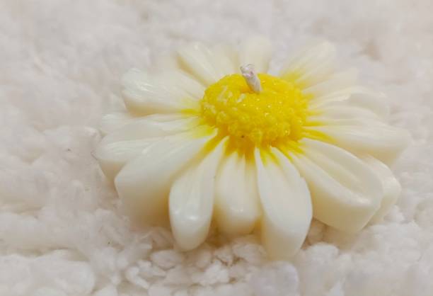 MRKMB Daisy SCENTED Candles Candle
