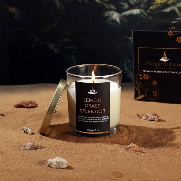 Parkash Candles Premium Scented Soy Wax Candle 200 gm 25-30 Hrs Lemon Grass Splendor Candle