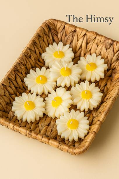 The Himsy Premium Handcrafted Daisy Flower Candles – Home, Festive & Party Décor Candle