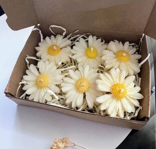 Ombrehouse Scented daisy Flower pack of 6 Candle
