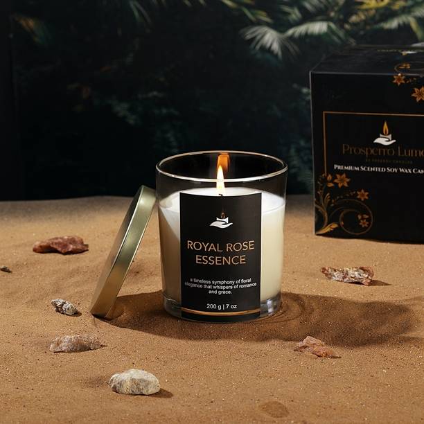 Parkash Candles Premium Scented Soy Wax Candle 200 gm 25-30 Hrs Royal Rose Essence Candle