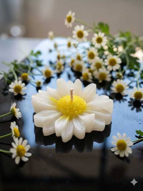 alphasales Handcrafted Daisy Flower Shaped Scented Soy Wax Candles - Set of 6 Candle